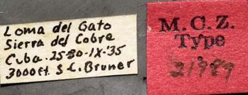 Media type: image;   Entomology 21989 Aspect: labels